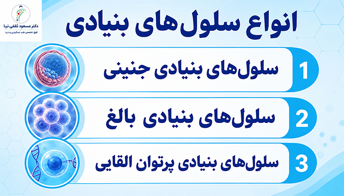 انواع سلول های بنیادی 