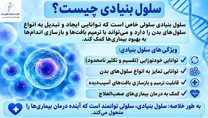 سلول بنیادی چیست و چه ویژگی هایی دارد؟